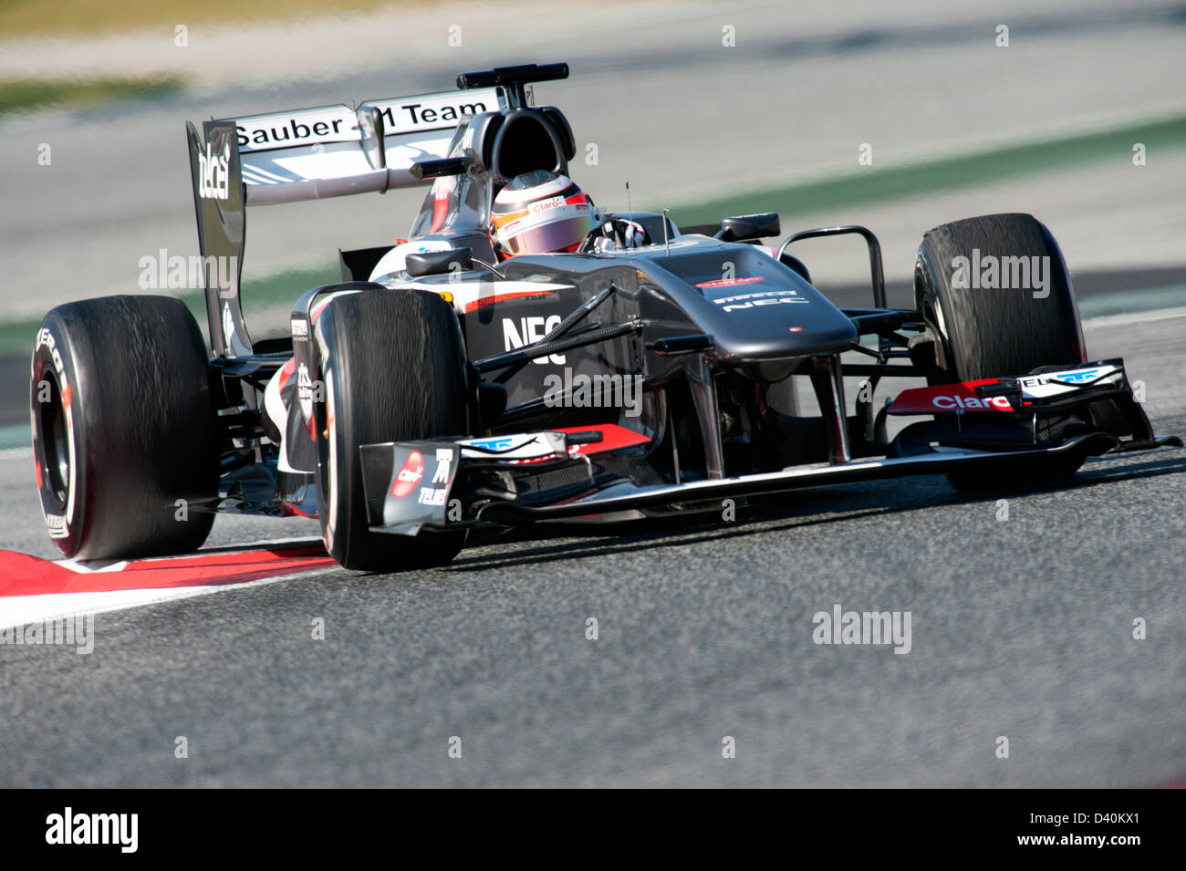 2013 sauber