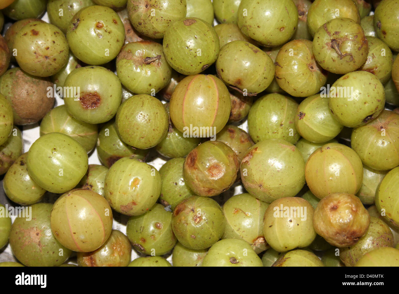 Indian Gooseberries For Sale In Nuwara Eliya Market, Sri Lanka Stock Photo