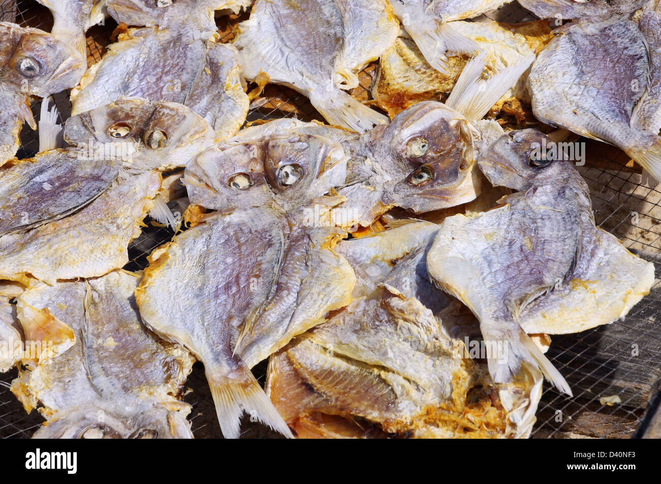 Stockfish, Norway - Stock Image - C009/7686 - Science Photo Library