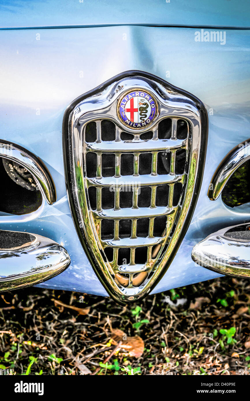 1950s Alfa Romeo Spider front grill at the Exotic car show in Sarasota  Florida Stock Photo - Alamy