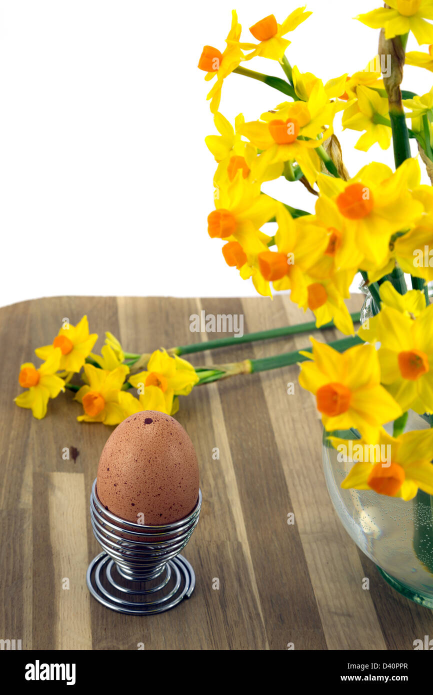 Free range egg in wire eggcup and daffodils in a vase. Stock Photo