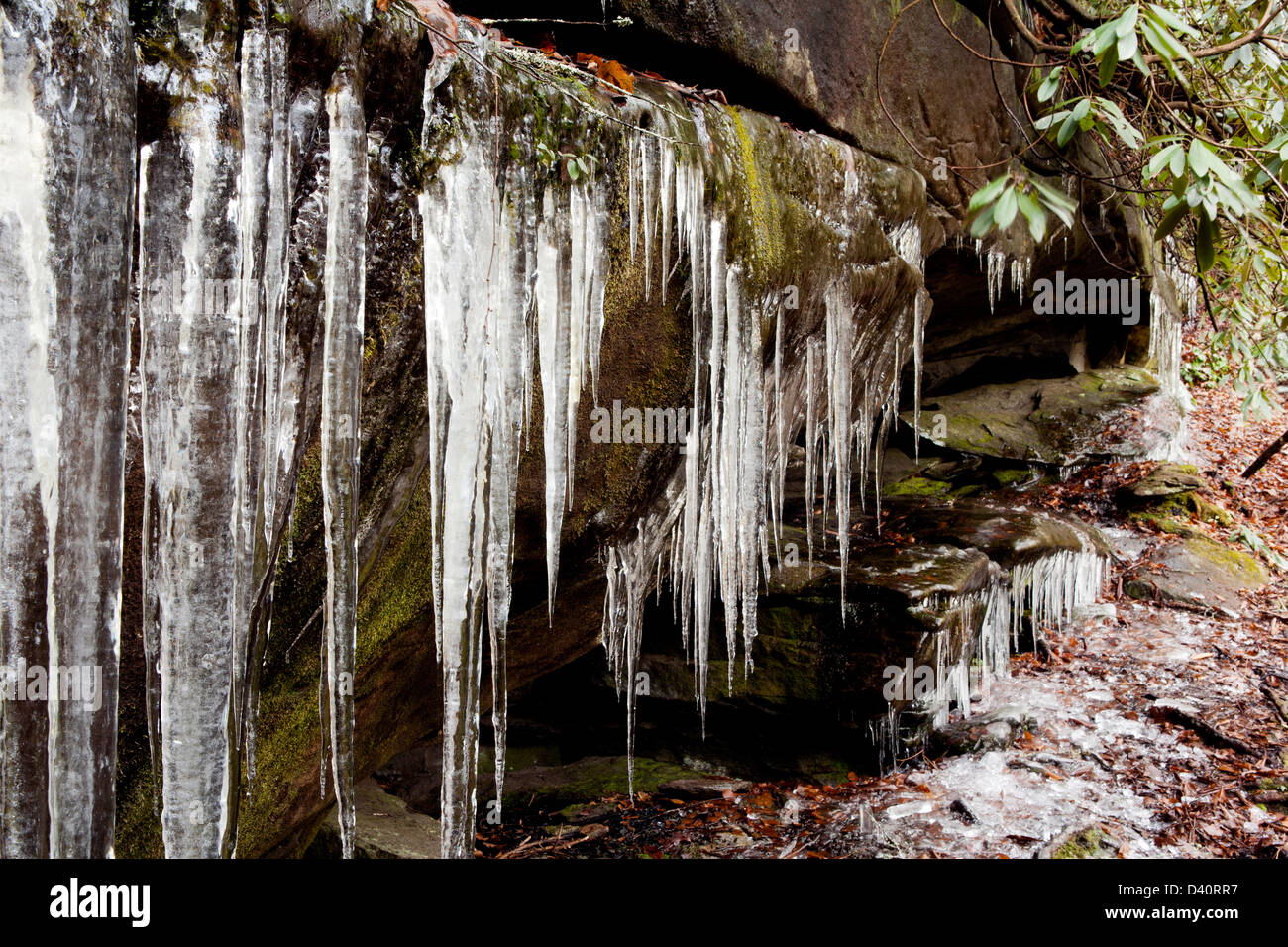 Icicles Hanging from cave near Cedar Rock Falls Pisgah National