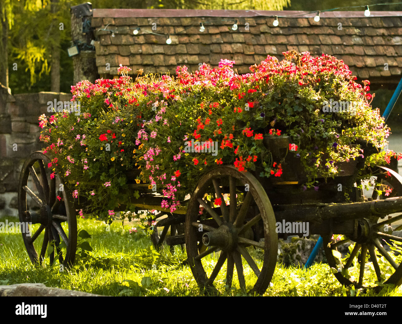 Wheel, Spoke, Summer, Plant, Basket, Multi Colored, Flower Pot Stock Photo