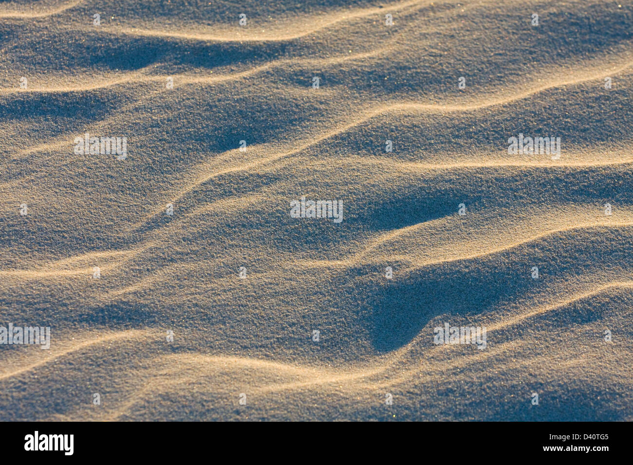Dune on Beach at Sunset Stock Photo - Alamy