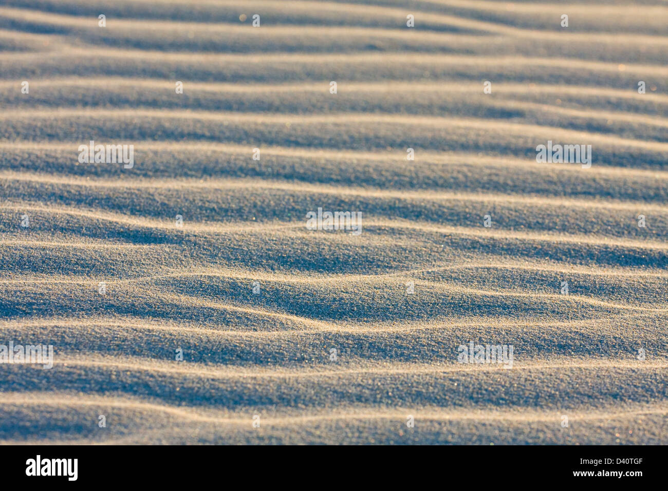 Dune on Beach at Sunset Stock Photo - Alamy