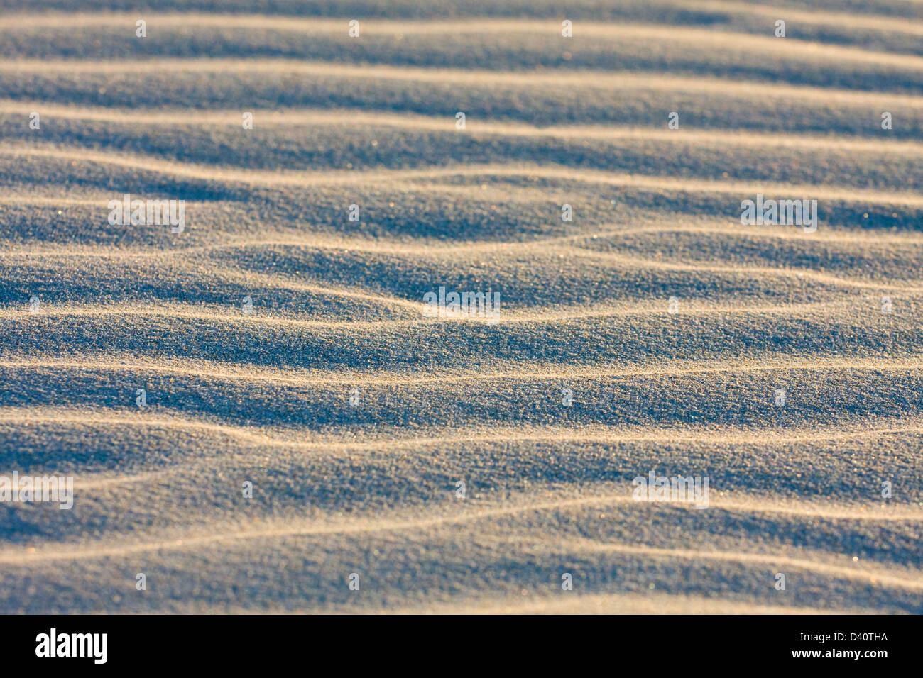 Dune on Beach at Sunset Stock Photo - Alamy