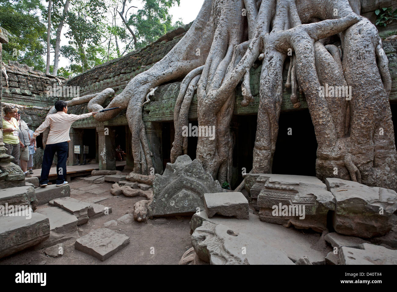 Strangler roots. Ta Prohm temple. Angkor. Cambodia Stock Photo