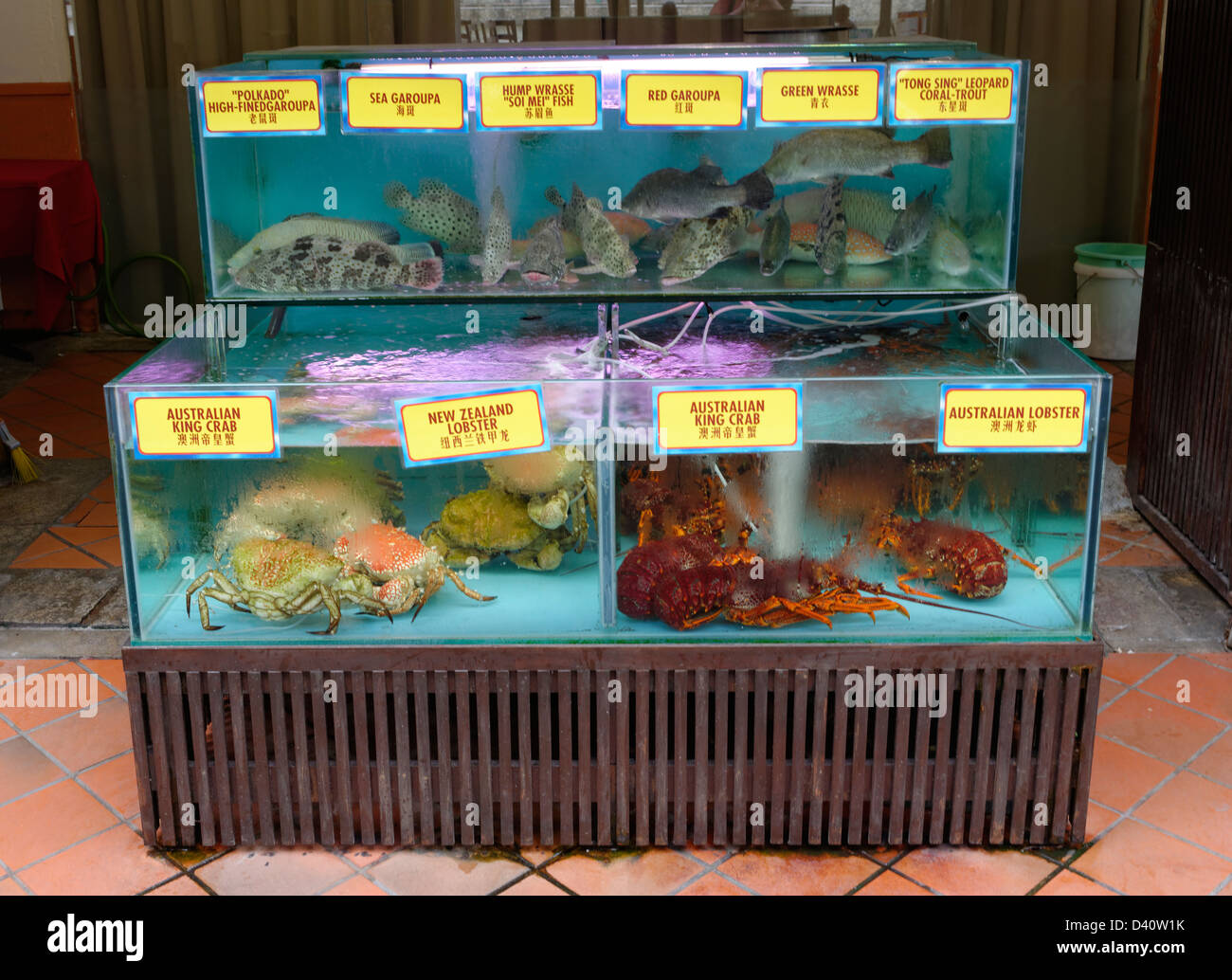 Crustaceans crabs lobsters sea food on sale at a Boat Quay restaurant