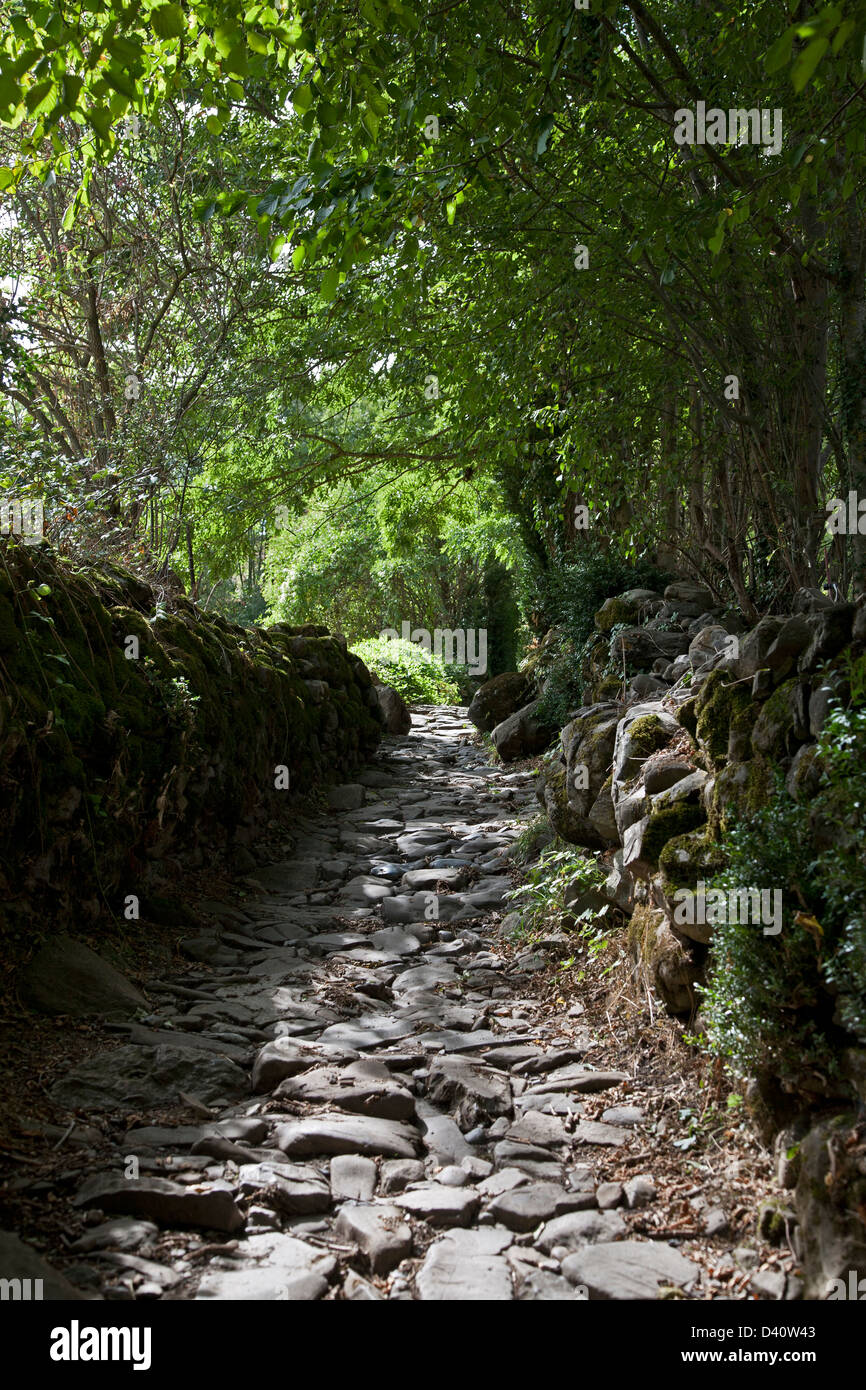 Stone paved trail. Torla. Pyrenees. Spain Stock Photo