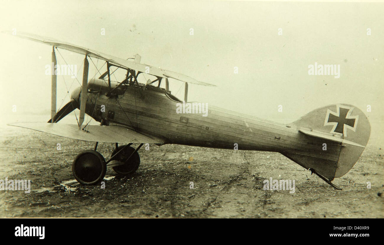 The LFG Roland D.VII was a German fighter aircraft used in World War I ...