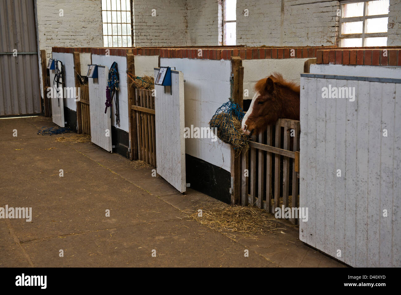 Image taken at Bransby Home of Rest for Horses, Bransby, near Lincoln