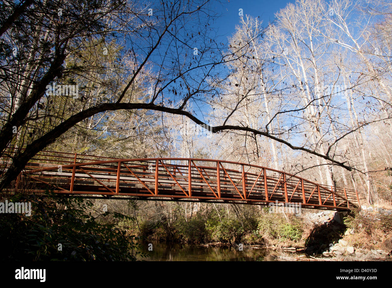 Bridge over the Davidson River Pisgah National Forest Brevard