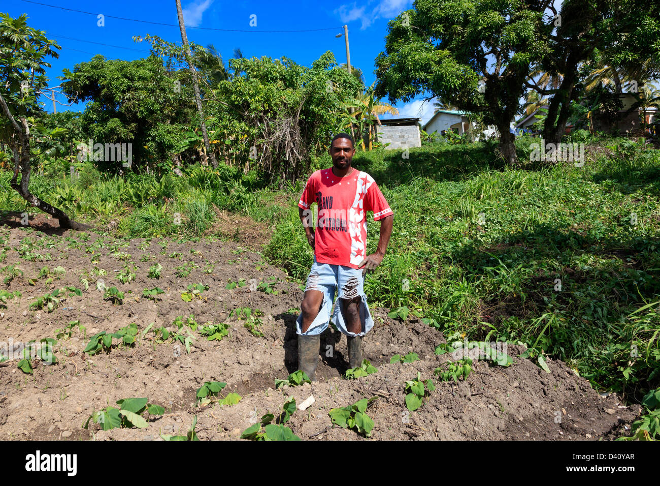 St. Lucia Rural Lucia farmer hi-res stock photography and images - Alamy