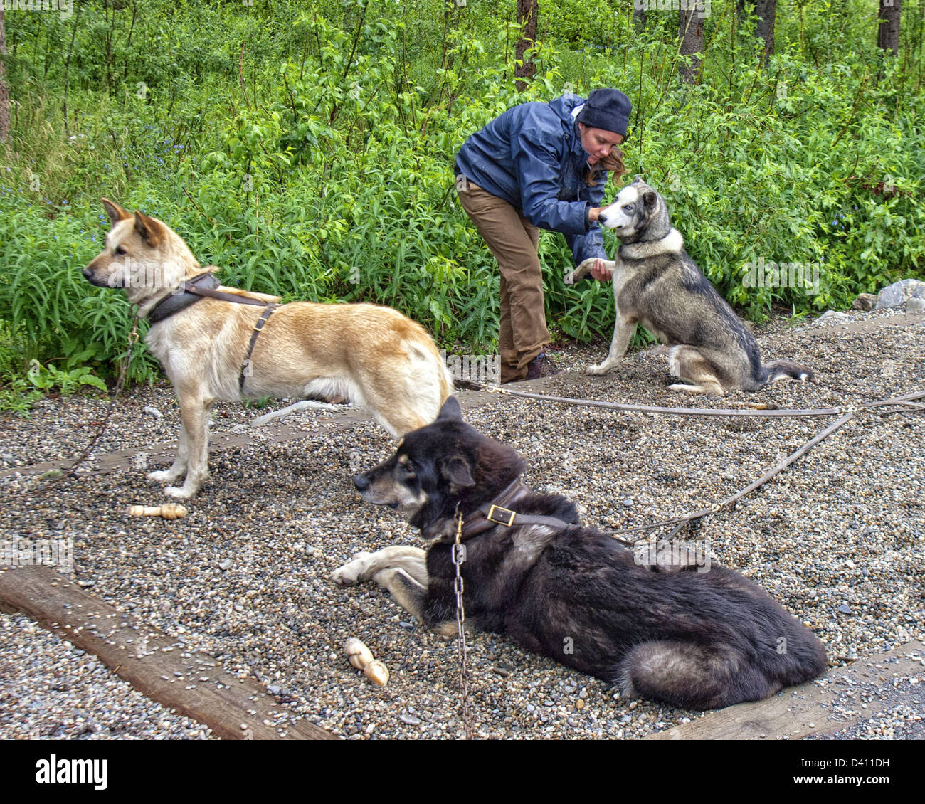 June 28, 2012 A National Park Service volunteer ranger with a trio of