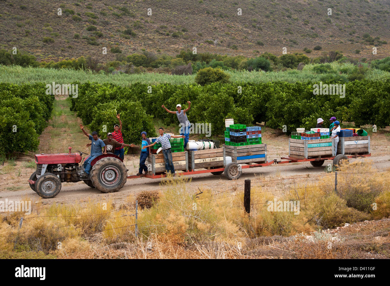 Farm workers in the western cape hires stock photography and images