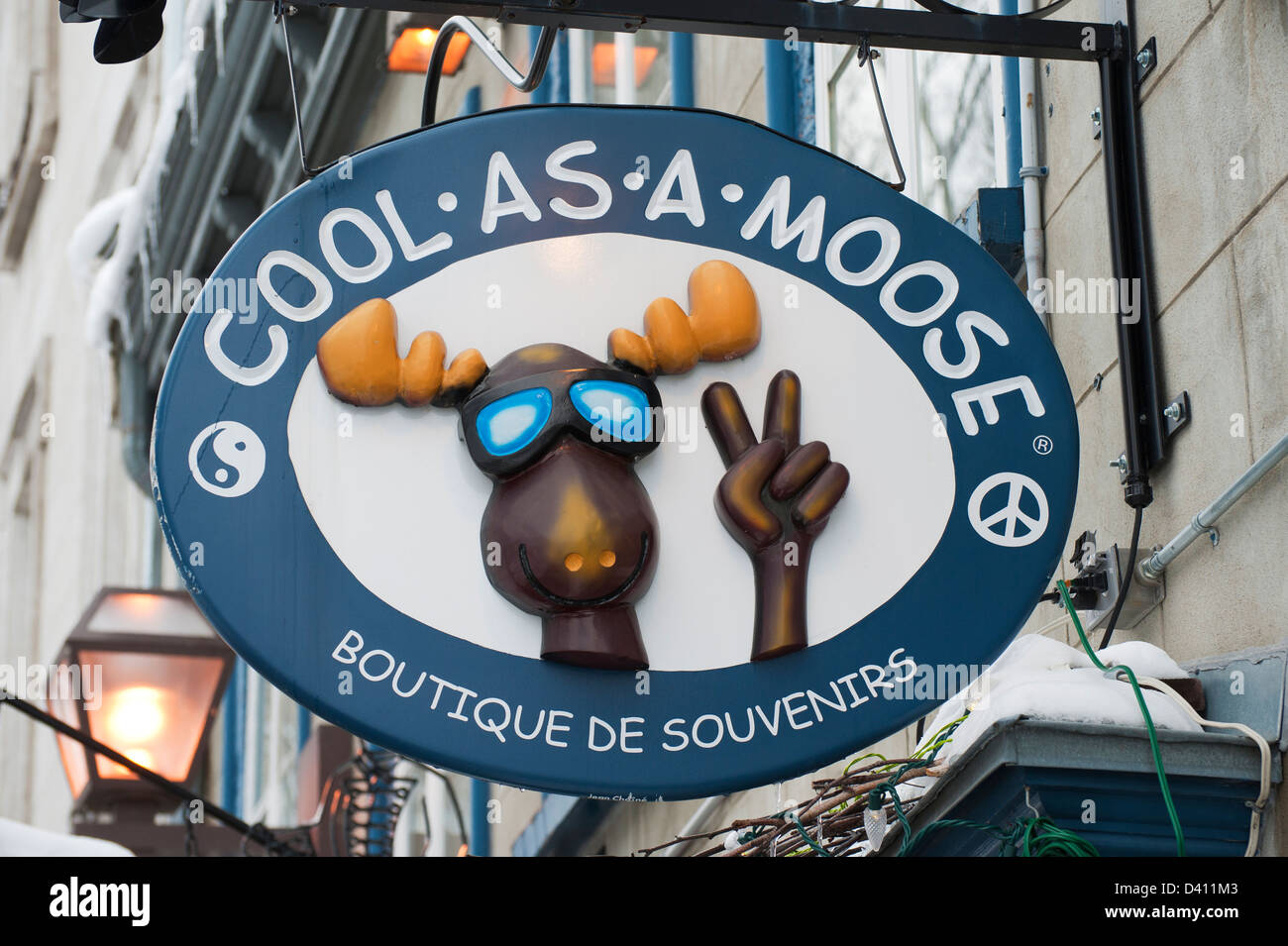 Hanging wooden sign for Cool As A Moose souvenir shop in Quebec City, Canada Stock Photo Alamy
