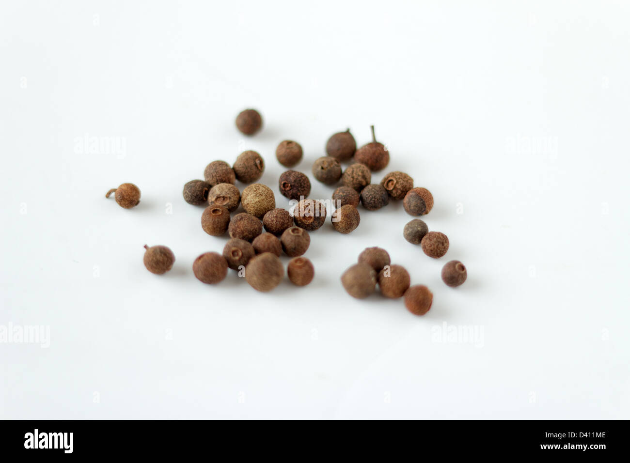 Allspice or Jamaica pepper berries on a white background Stock Photo