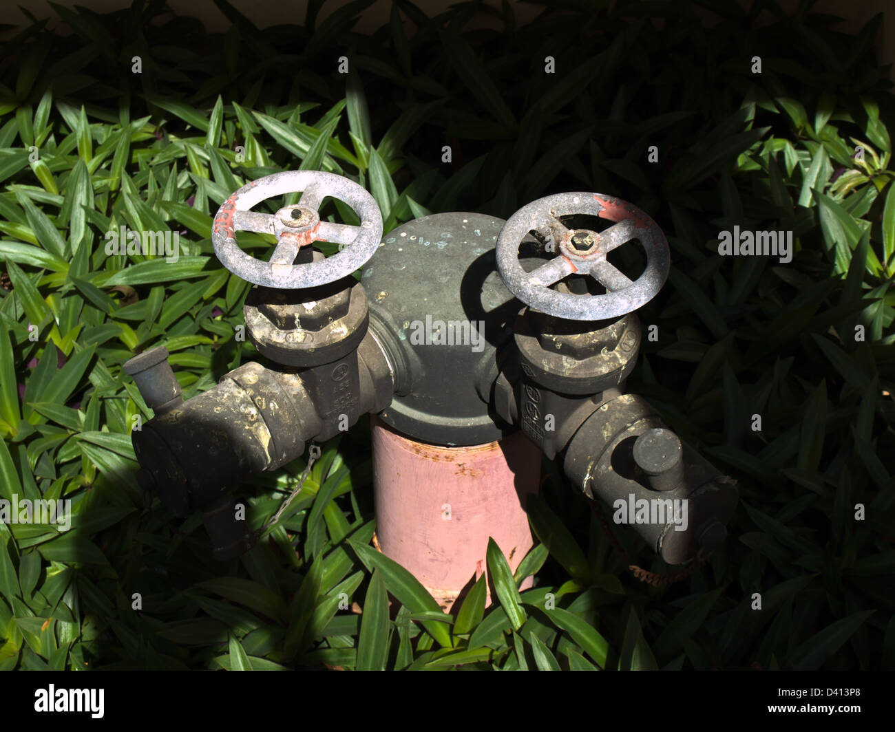 Connector hose fire hydrant Stock Photo Alamy