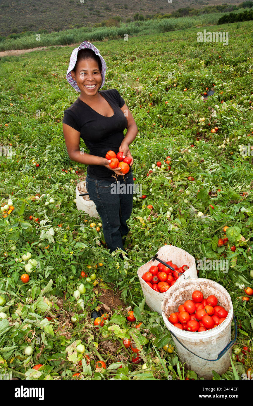 Sun dried tomato woman hi-res stock photography and images - Alamy