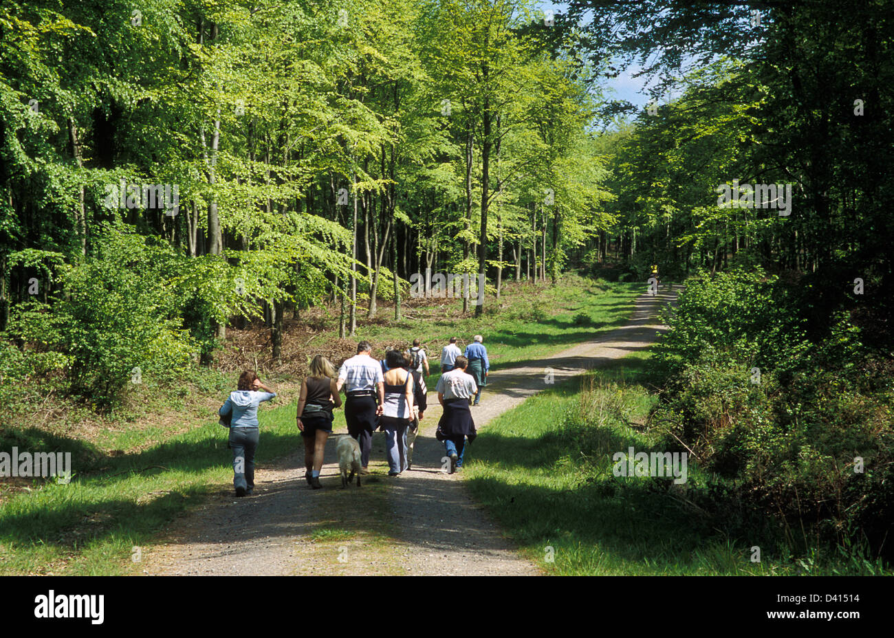 Stoughton hires stock photography and images Alamy