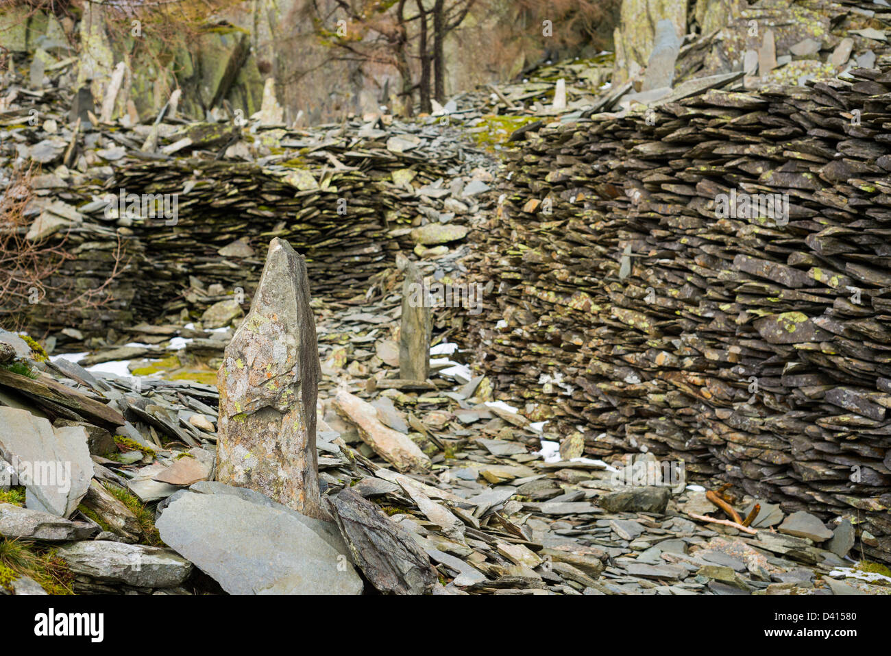 Slate formations at old slate quarry just below summit of Castle Crag