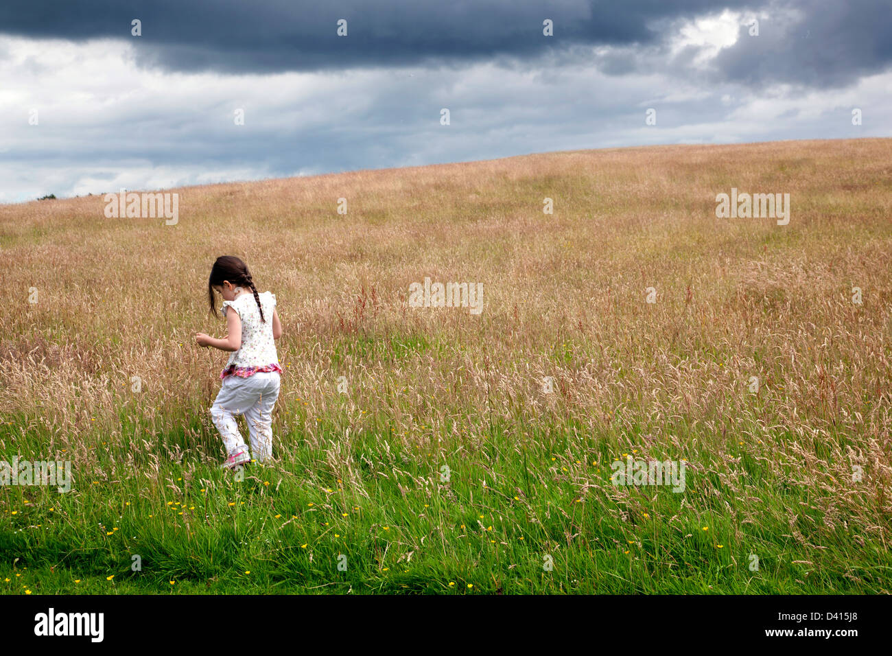A little girl walking with her back to the camera in a summer field with a heavy dark sky Stock Photo