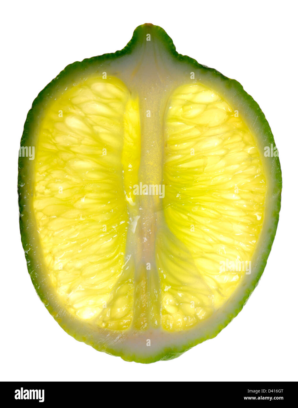 Slice of Lime Stock Photo