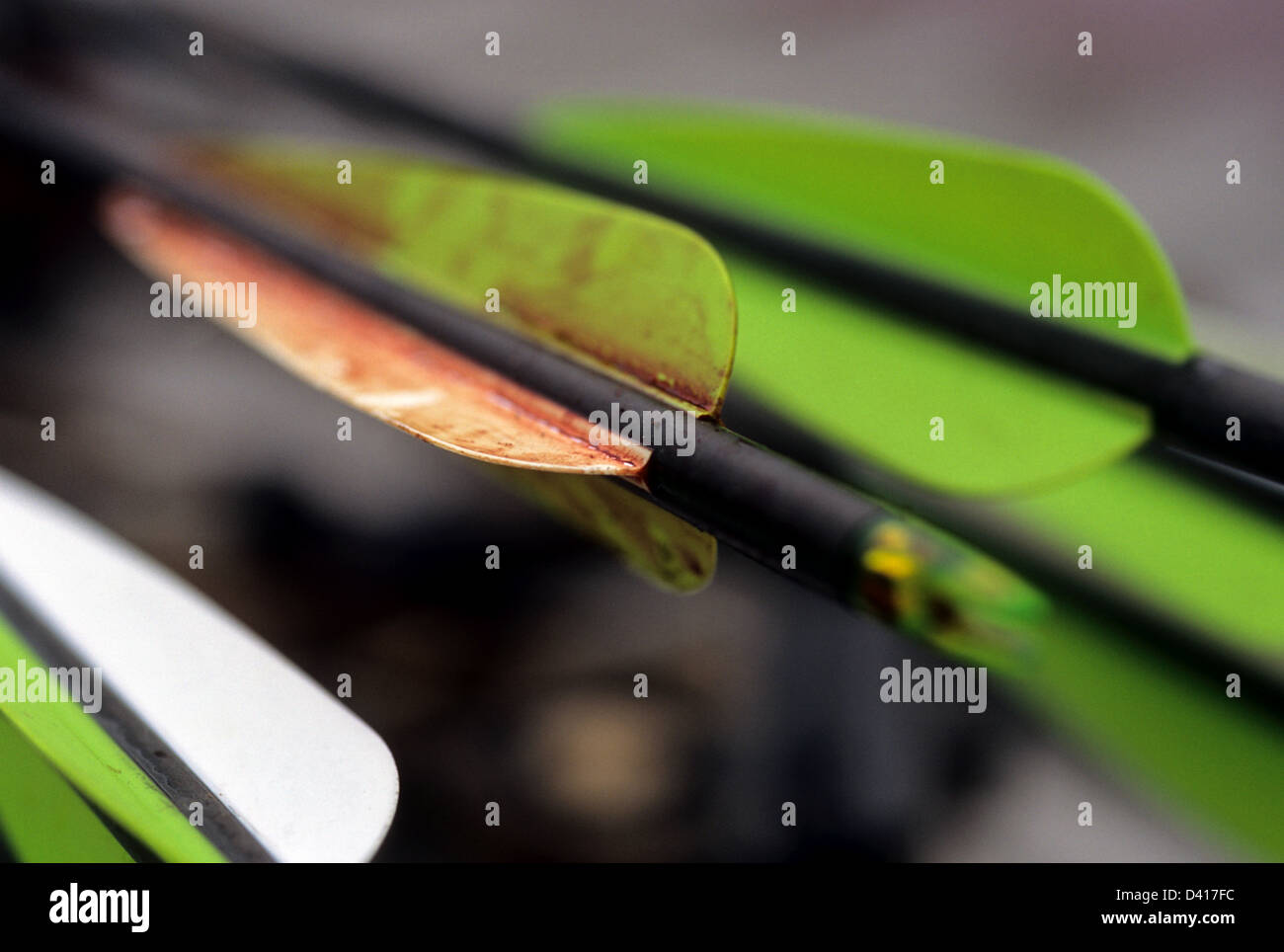 Bow hunting deer hires stock photography and images Alamy