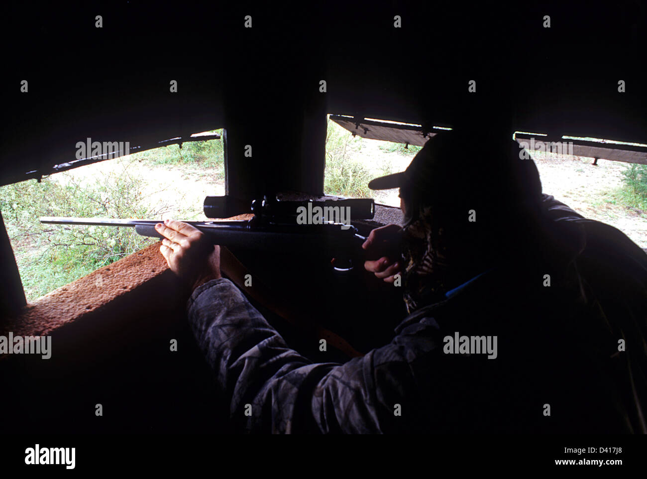 A South Texas whitetail deer hunter aiming his rifle from a tower blind