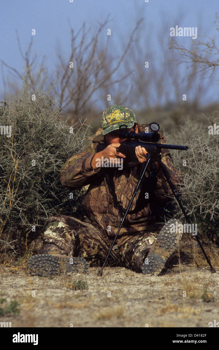 A South Texas deer hunter looking through his scope and aiming a rifle