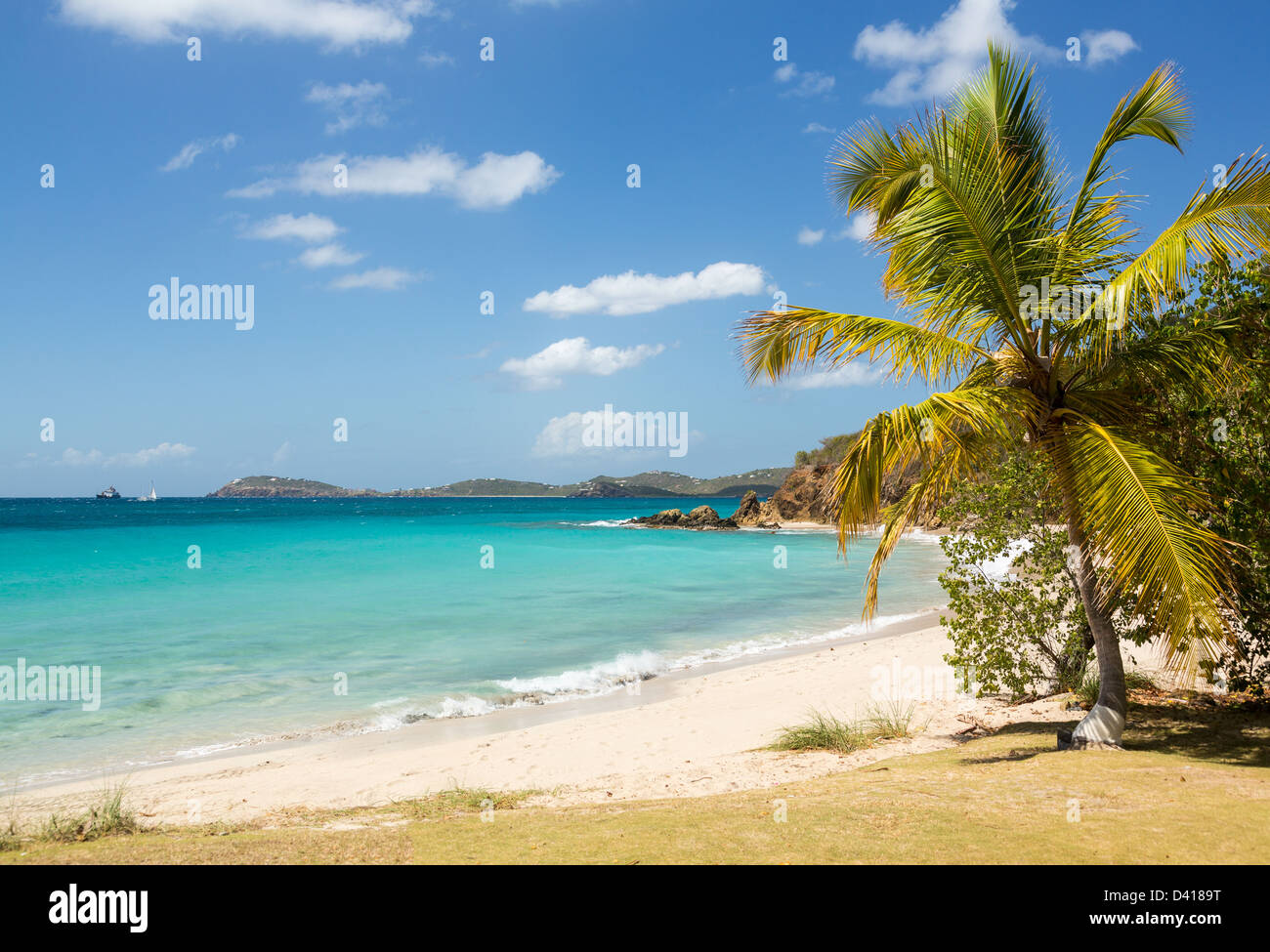 Beach scene on island of St Thomas in US Virgin Islands USVI with palm tree Stock Photo