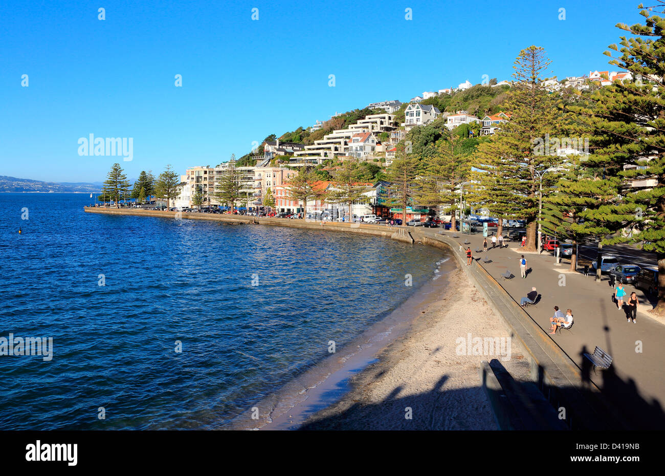 Summertime crowd at Oriental Bay beach in Wellington Stock Photo