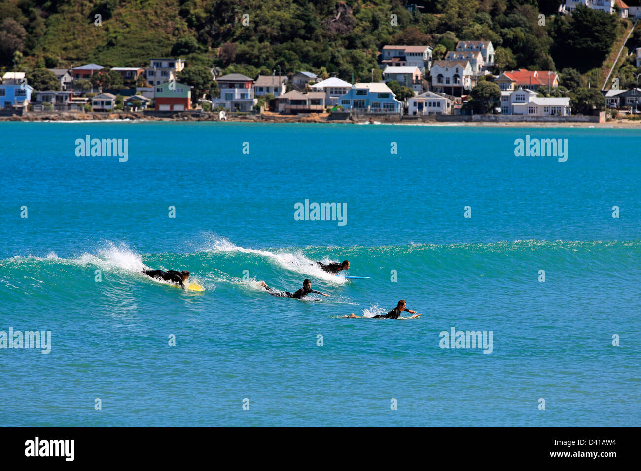 Surfing at Lyall Bay next to Wellington Airport Stock Photo Alamy