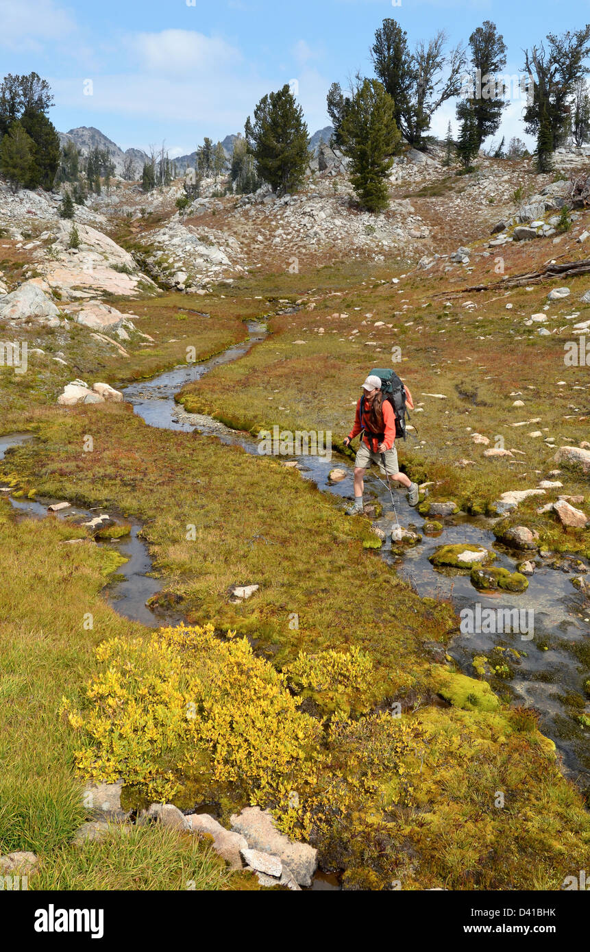 Woman crossing a stream in a high elevation meadow on a backpack trip