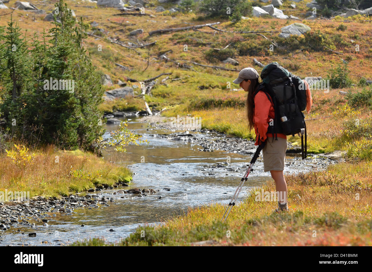 Woman gazing at mountain stream on a backpack trip in Oregon's Wallowa Mountains. Stock Photo