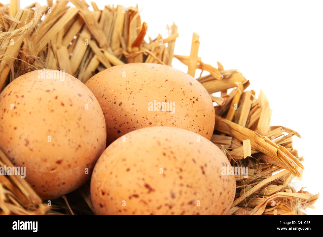 Easter eggs nest isolated on white background Stock Photo - Alamy