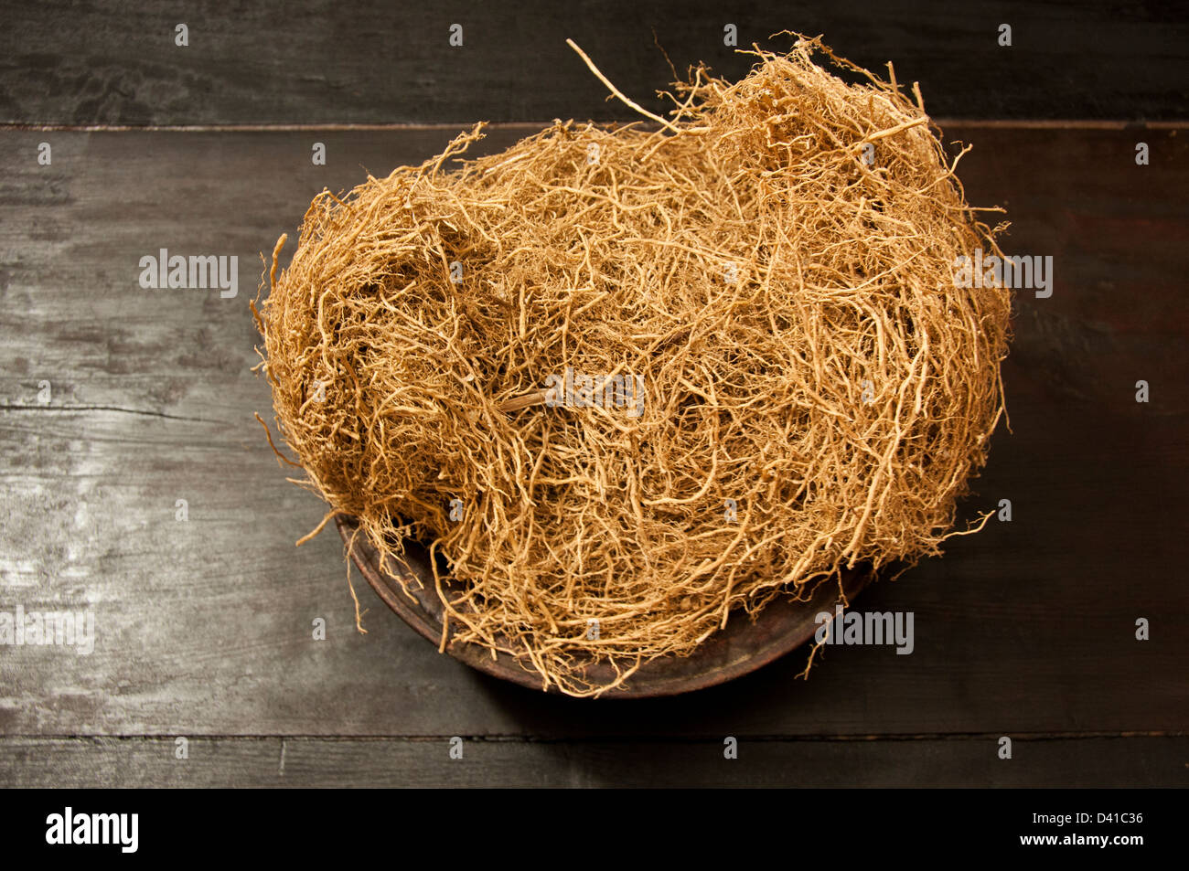 Vetiveria zizanoides hires stock photography and images Alamy