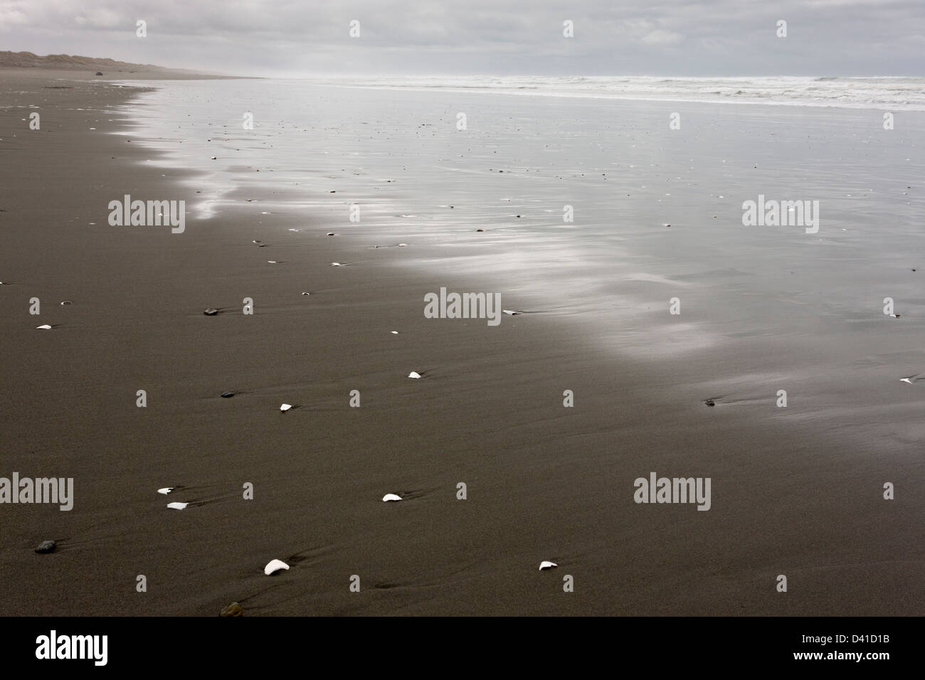 Sandy beach on the pacific coast of sand-bar at Arcata, north California, USA Stock Photo