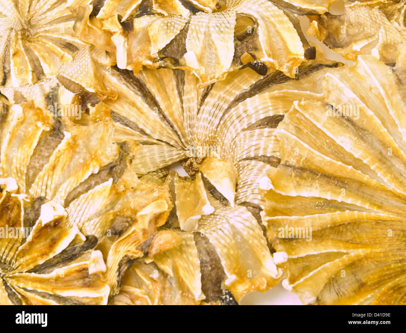Round dried fishes from Thailand as background Stock Photo