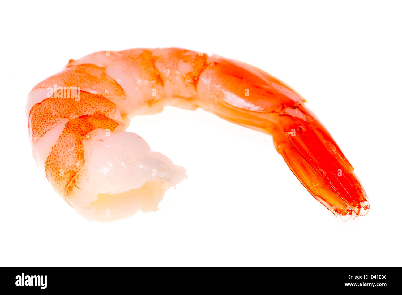 Cooked prawn Stock Photo