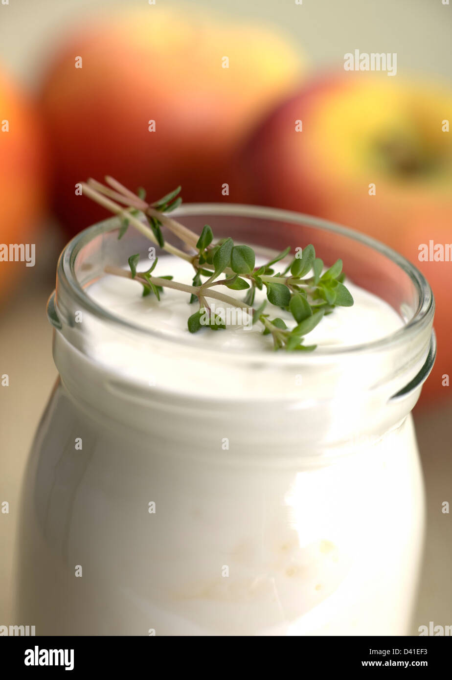 Individual glass plain natural yoghurt hires stock photography and