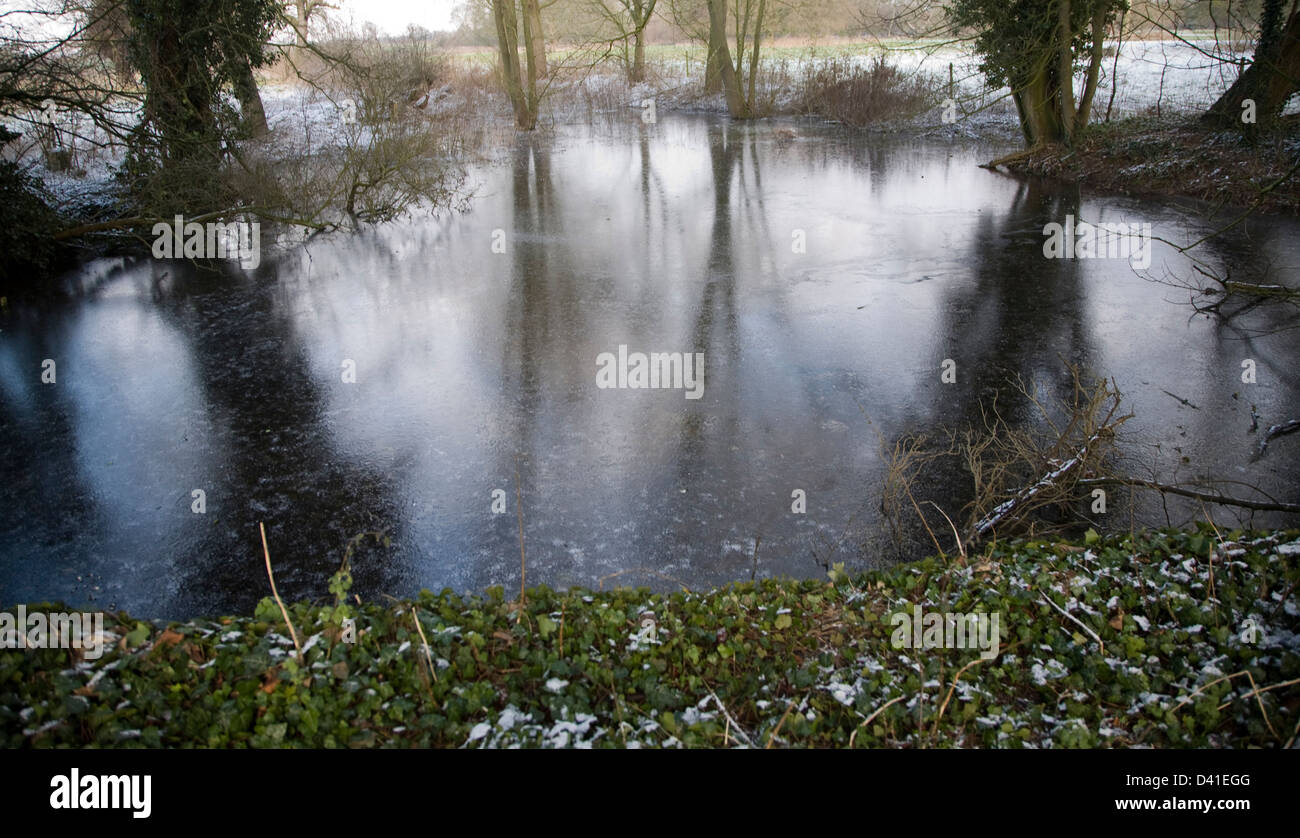 Ice forming on pond surface in cold winter weather, Sutton, Suffolk, England Stock Photo