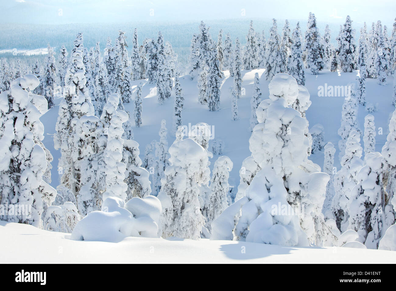 winter landscape in Ylläs, Finland Stock Photo