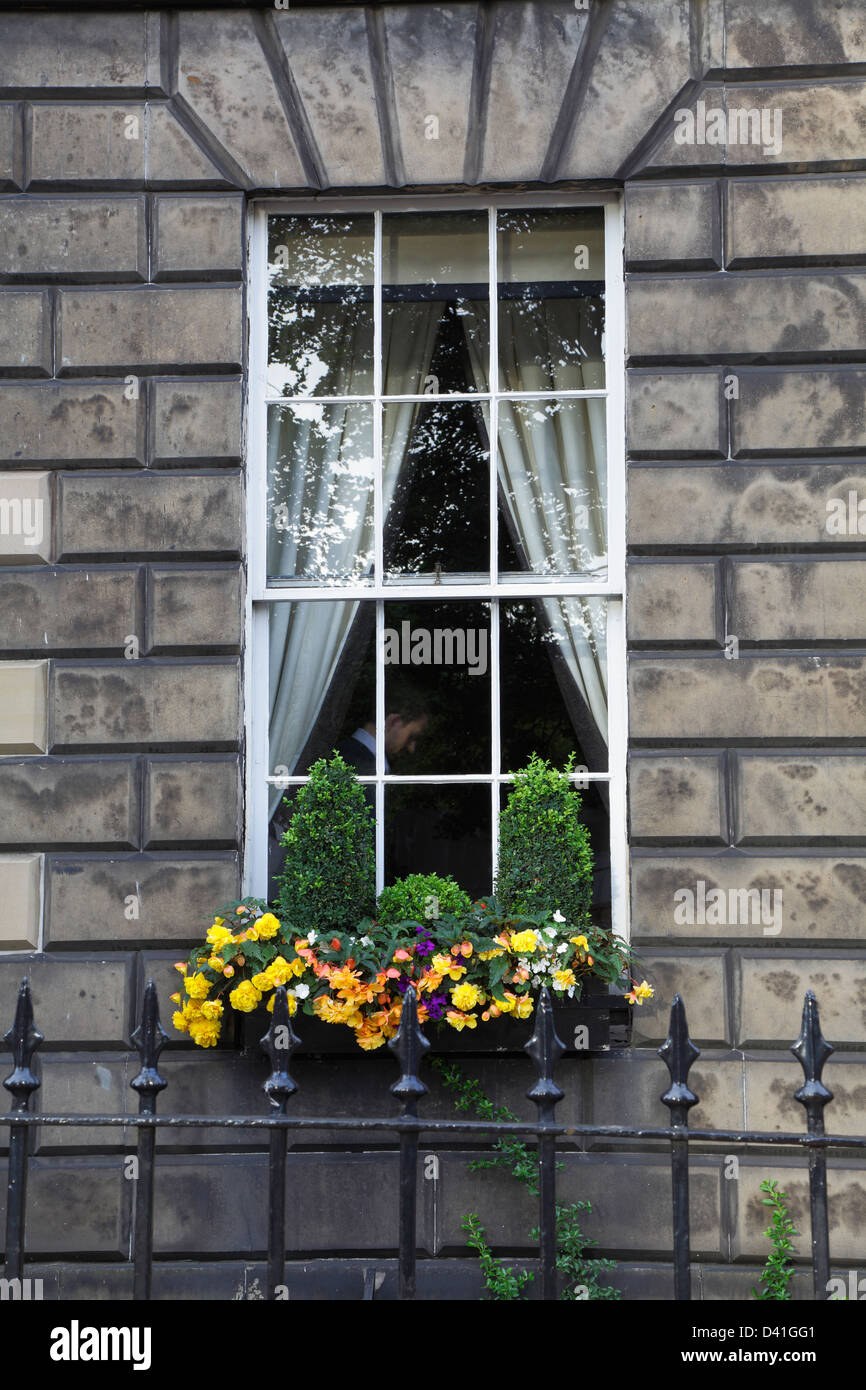 Window box uk hires stock photography and images Alamy