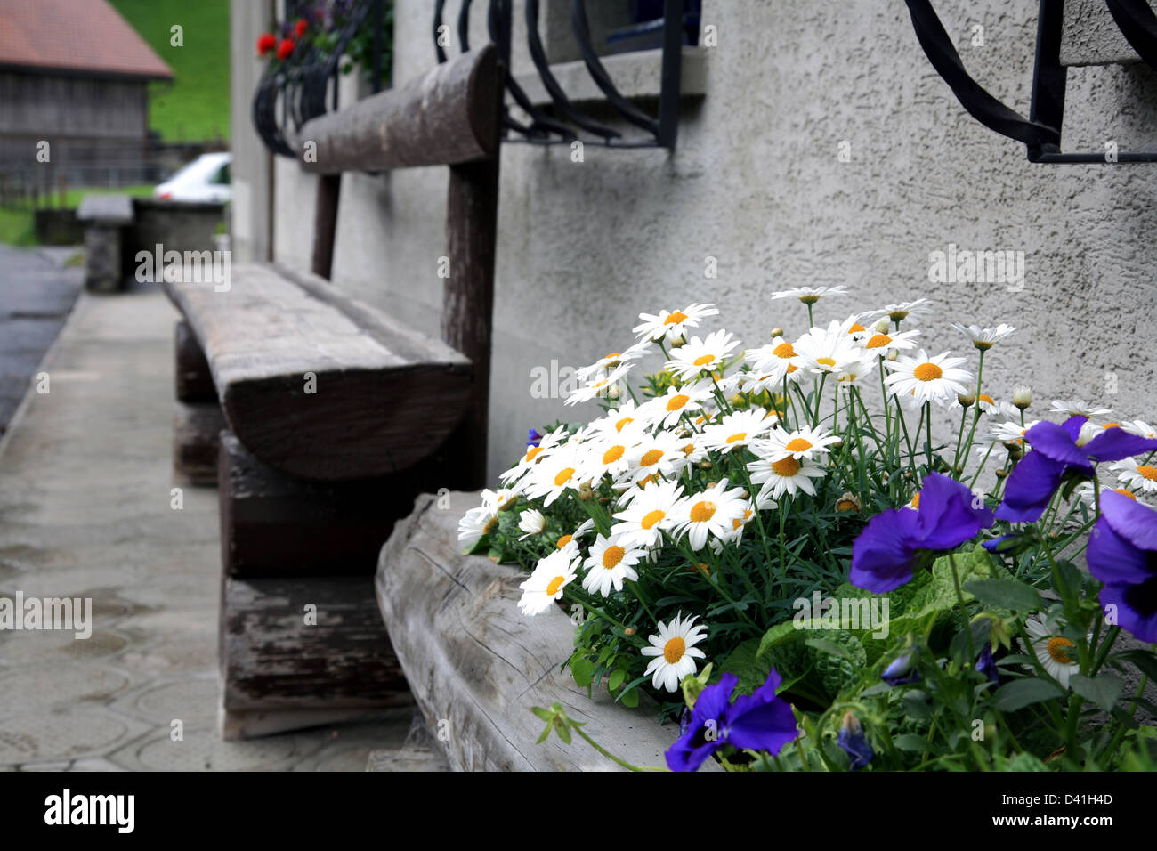 Switzerland house flower hires stock photography and images Alamy
