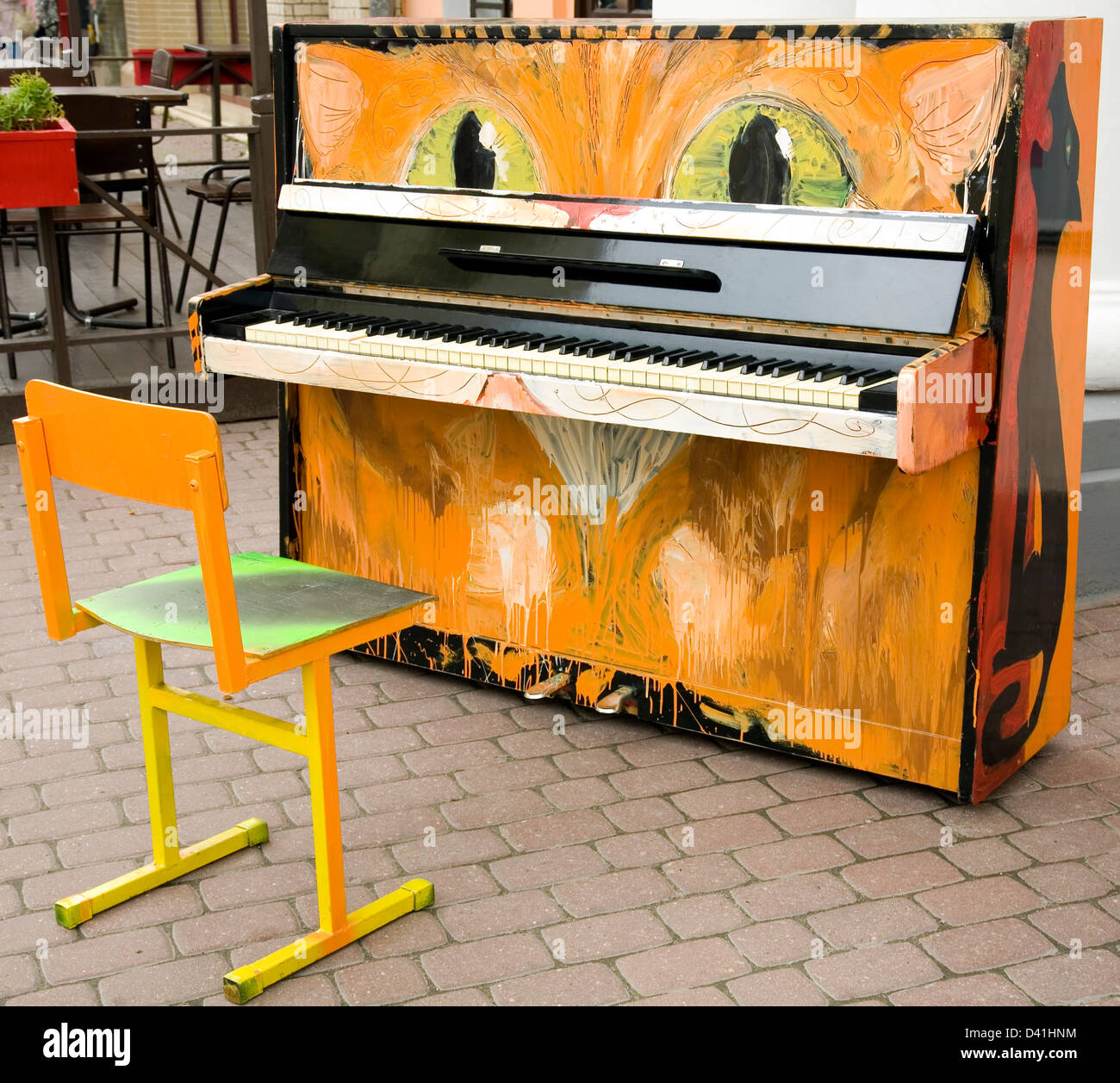 Funny old piano cat in the street Stock Photo Alamy