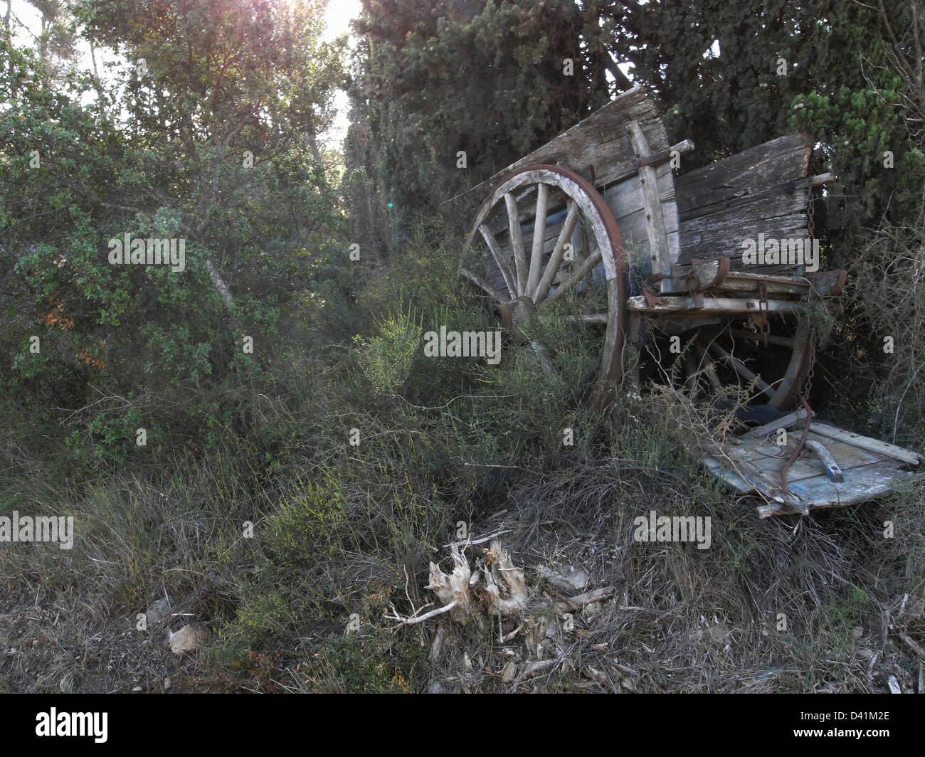 Old fashioned wooden cart sits falling apart in the countryside, France. Stock Photo