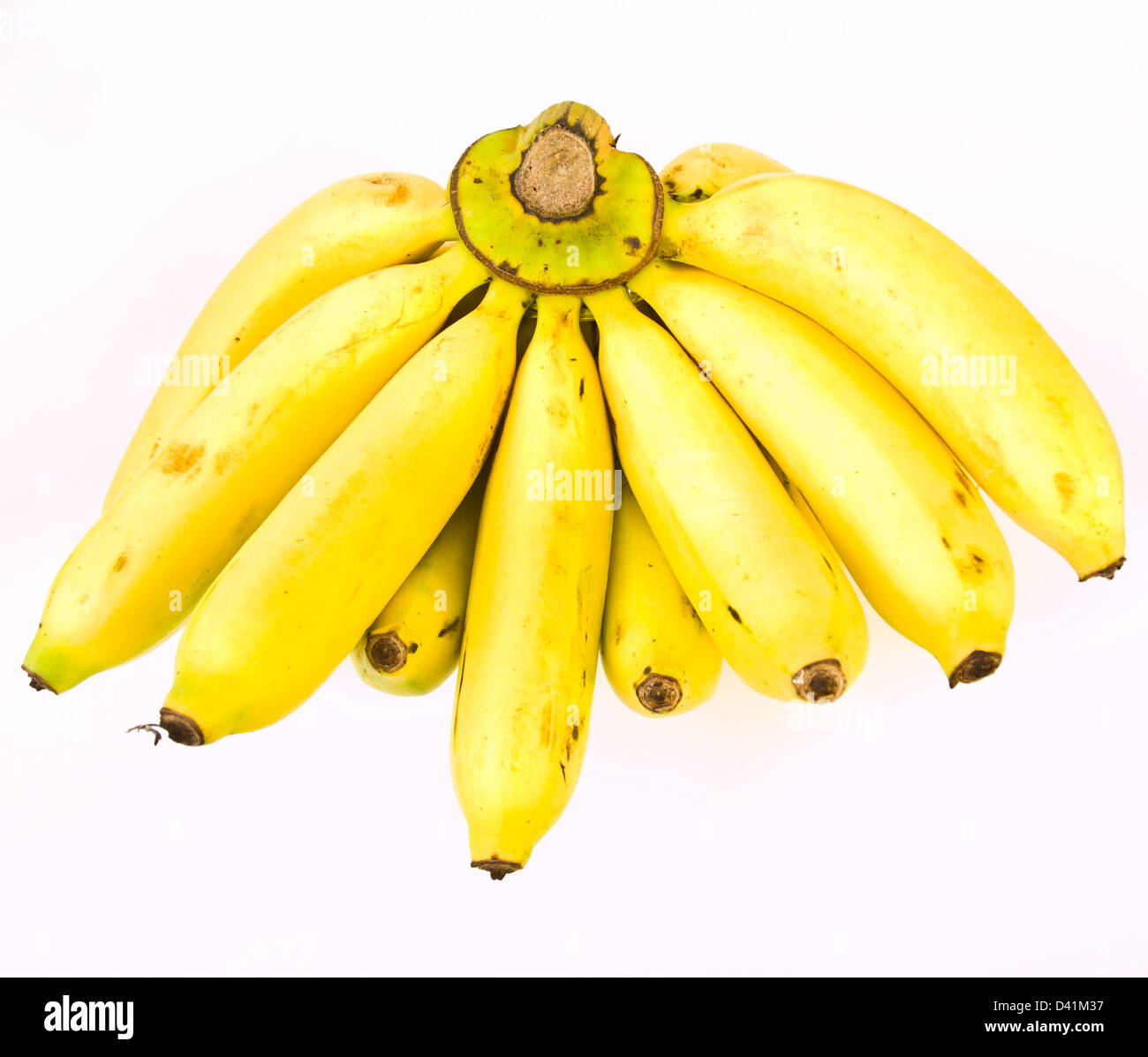 Banana Bunch from Thailand Stock Photo