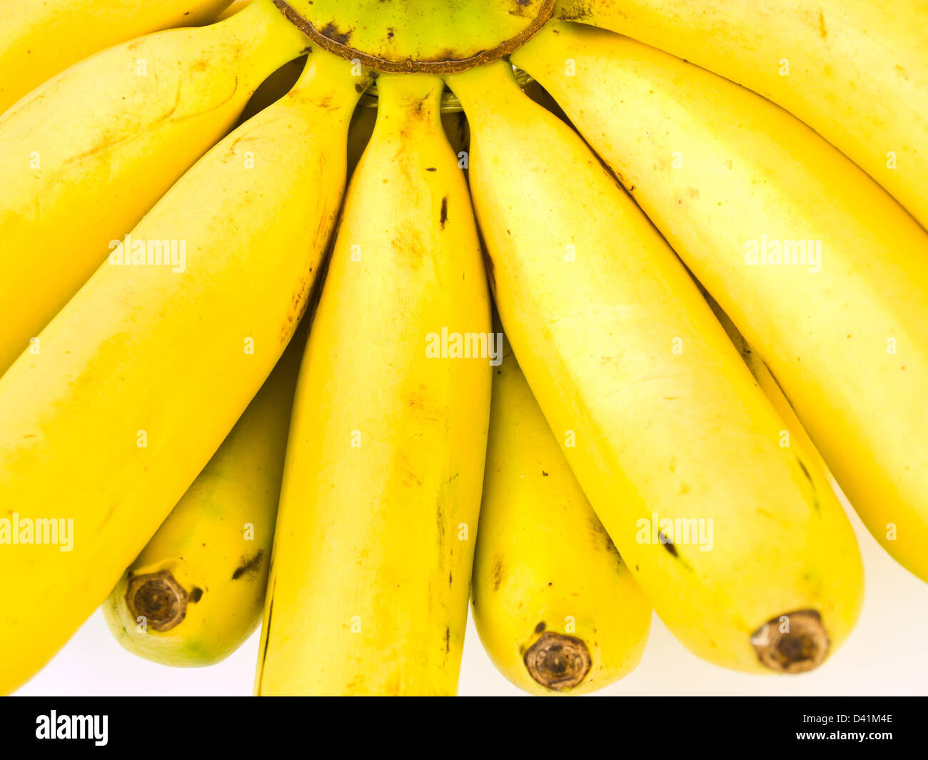 Banana Bunch from Thailand Stock Photo