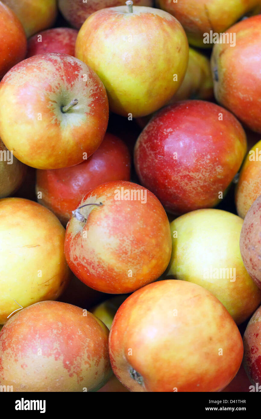 Berlin, Germany, Holsteiner Cox apples on the Green Week Stock Photo